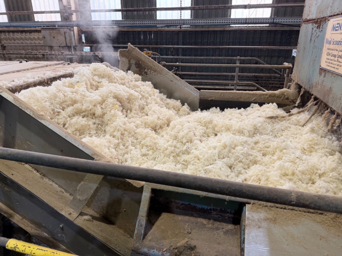 Fluffy clean wool in a steaming scour trough